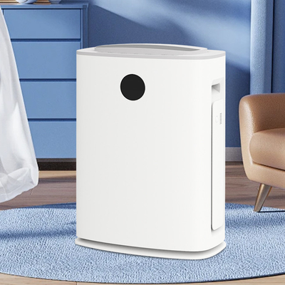 kaufen Ruhiger Hepa-Luftreiniger Dehumidifikator Luftreiniger 2 IN 1 Haushaltsgeräte Online-Herstellung