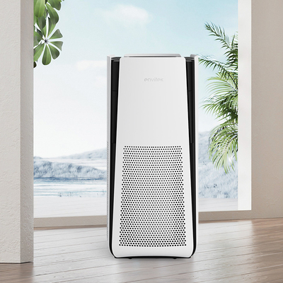 kaufen Indoor Hepa Filter Luftreiniger 1-12h Timer Wi-Fi für große Wohnbereiche Online-Herstellung
