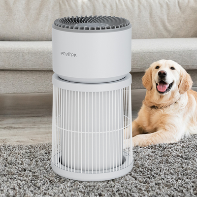 kaufen Heißer Verkauf Haustier-Luftreiniger für Zuhause Allergien Tierhaare im Schlafzimmer Online-Herstellung