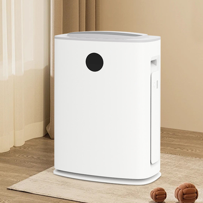 Luftreiniger Luftbefeuchter Entfeuchter 2 In 1 750W